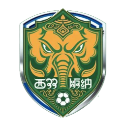 西雙版納隊隊徽