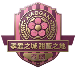 孝感隊(duì)隊(duì)徽
