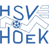 HSV胡克隊徽