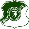SV索尼克斯隊(duì)徽