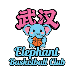 武漢大象籃球隊徽