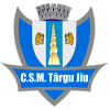 ACS特爾古日烏隊徽