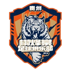 貴州栩烽棠隊徽