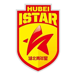 湖北青年星U20隊徽