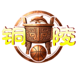 銅陵市隊徽