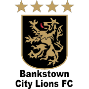 本克斯拓城獅隊U20隊徽